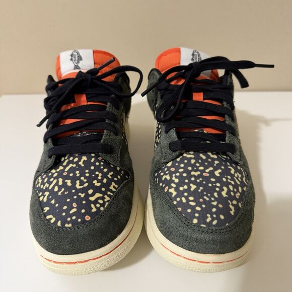 Nike Dunk Low SE Rainbow Trout Sneakers Mens 9 Suede Low Top Lace Up FN7523-300 main image 11